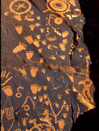 Petroglyph bear tracks